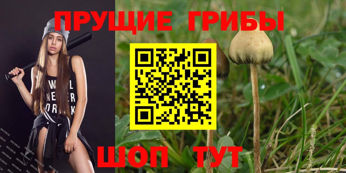 Псилоцибиновые грибы мухоморы  Псилоцибиновые грибы Psilocybe  Вход с VPN  Новотроицк 