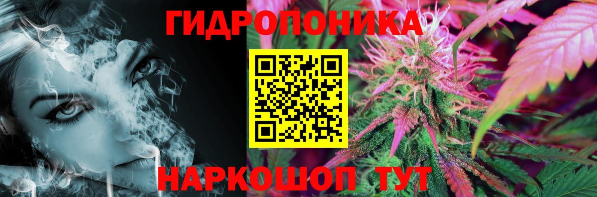 Каннабис семена Новотроицк